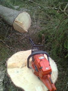Bild0028