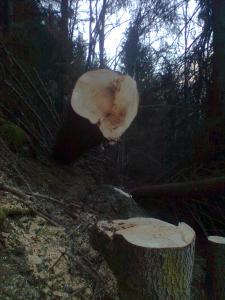 Bild0036