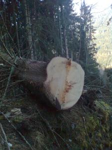 Bild0042