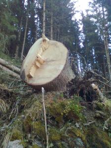 Bild0043