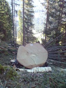 Bild0044