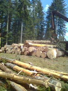 Bild0150
