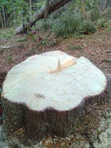 Bild0185