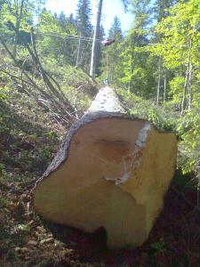 Bild0192