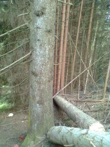 Bild0206
