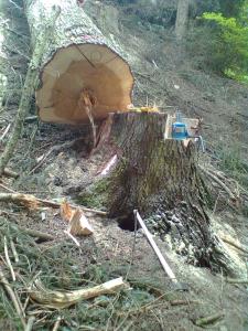Bild0211
