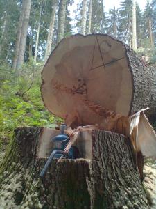 Bild0215