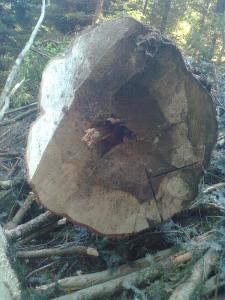 Bild0246