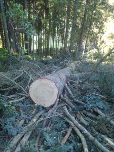 Bild0248