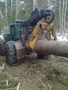 Bild0458