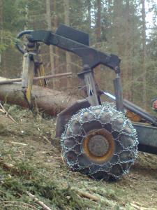Bild0459