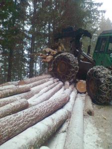 Bild0461