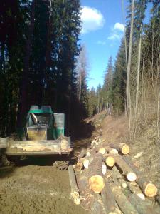 Bild0473