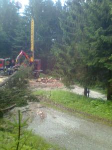 Bild0526