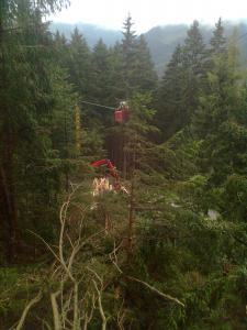 Bild0528