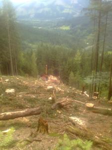 Bild0530