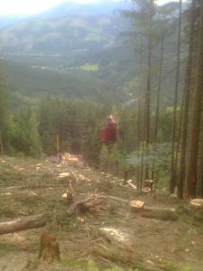 Bild0531