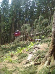 Bild0532