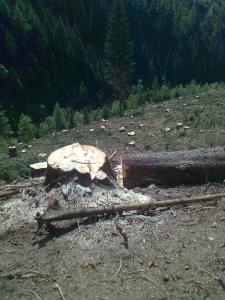 Bild0556