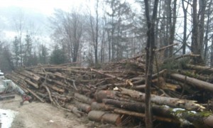 IMG-20170207-WA0001